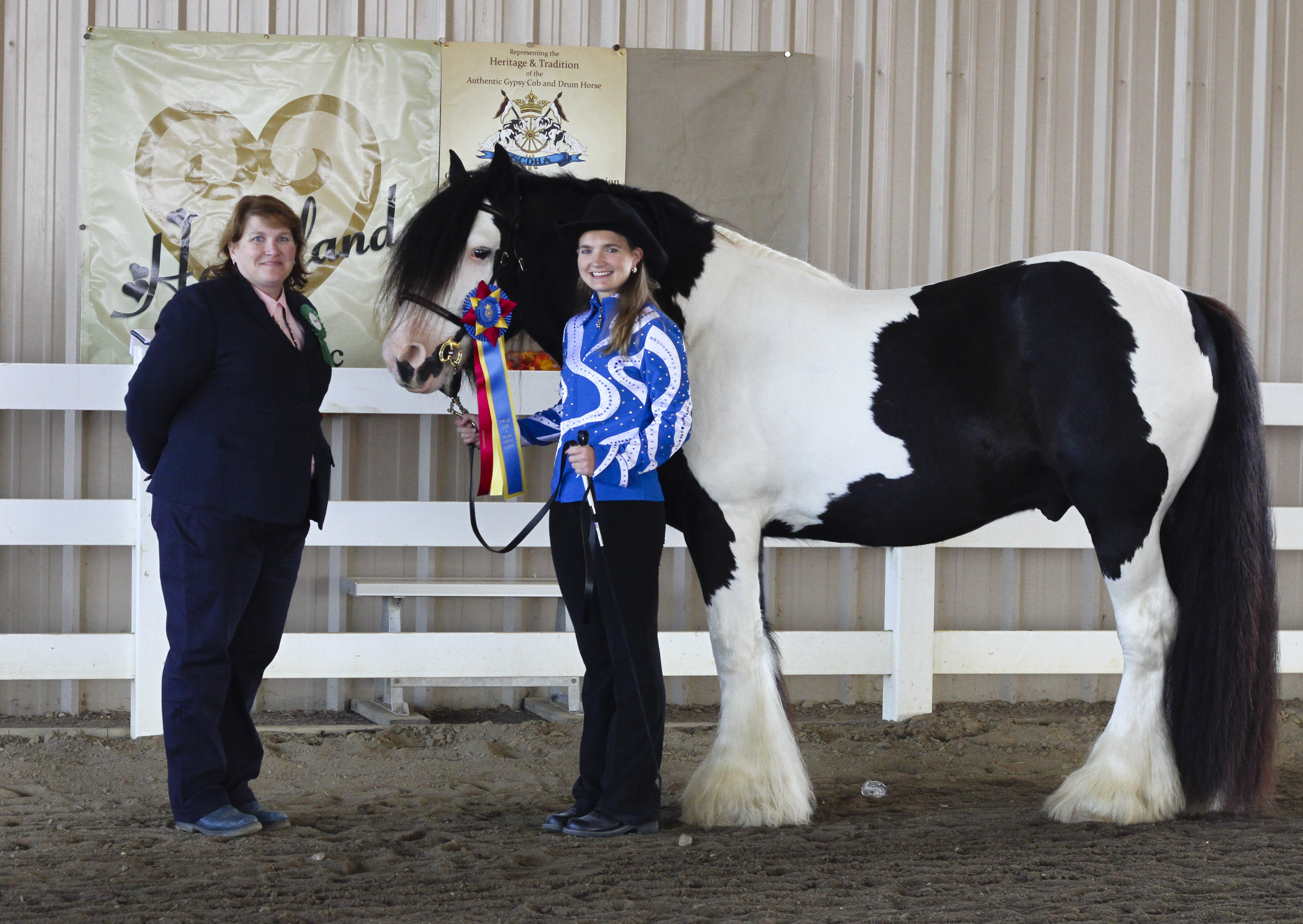 Grand Champion Stallion